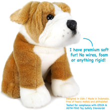 Load image into Gallery viewer, Egan The English Bulldog | 9 Inch Stuffed Animal Plush | By TigerHart Toys