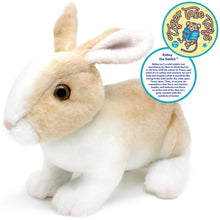 Load image into Gallery viewer, Ridley The Rabbit | 11 Inch Stuffed Animal Plush | By TigerHart Toys
