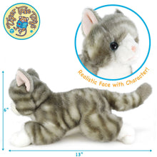 Load image into Gallery viewer, Gavin The Grey Tabby Cat | 13 Inch Stuffed Animal Plush | By TigerHart Toys