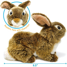 Load image into Gallery viewer, Brigid The Brown Rabbit | 10 Inch Stuffed Animal Plush | By TigerHart Toys