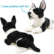 Load image into Gallery viewer, Baxter The Boston Terrier | 13 Inch Stuffed Animal Plush | By TigerHart Toys