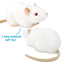 Load image into Gallery viewer, Wylie The White Rat | 7 Inch Stuffed Animal Plush | By TigerHart Toys