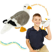 Load image into Gallery viewer, Seamus The Seagull | 12 Inch Stuffed Animal Plush | By TigerHart Toys