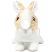 Load image into Gallery viewer, Ridley The Rabbit | 11 Inch Stuffed Animal Plush | By TigerHart Toys