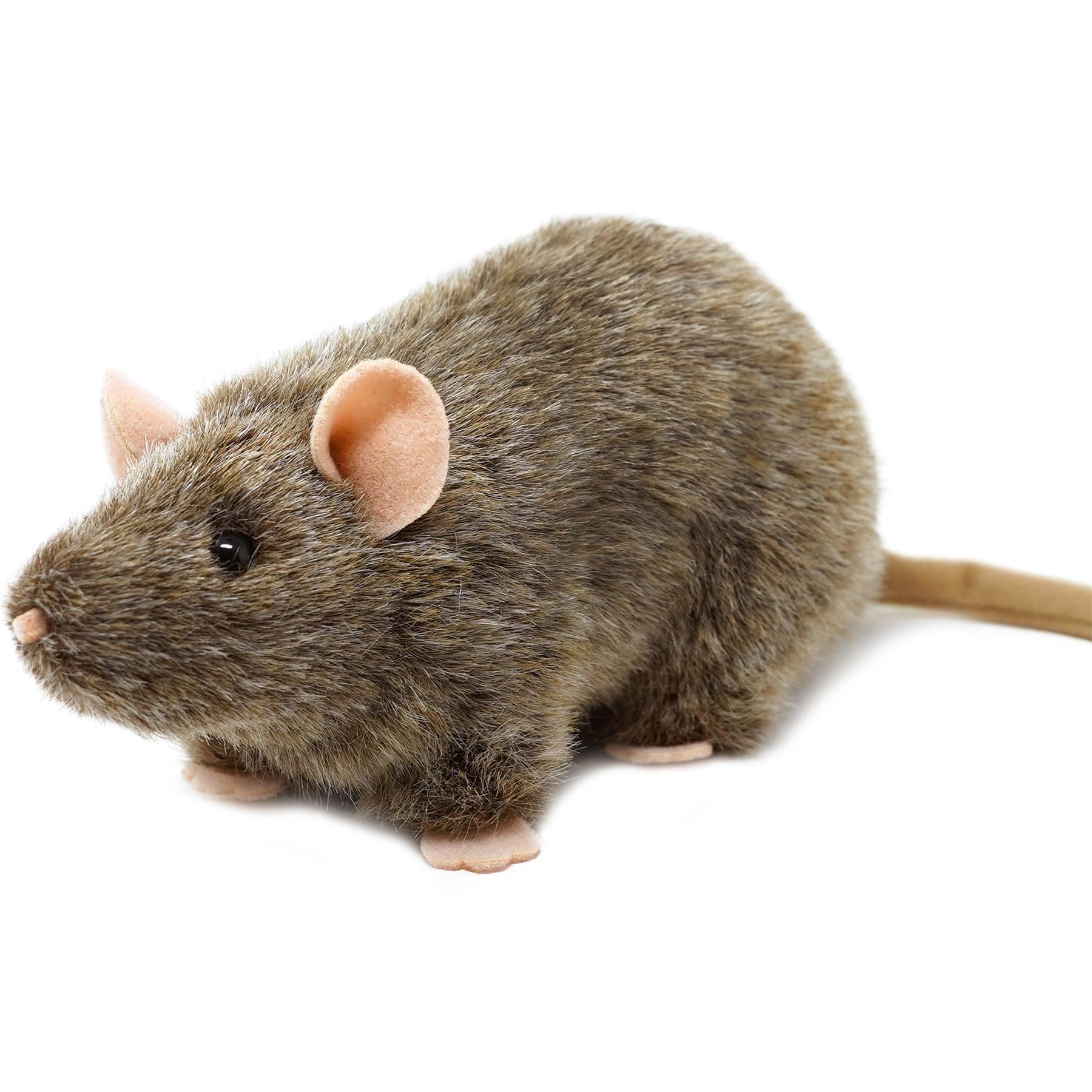 Reuben The Rat | 7 Inch Stuffed Animal Plush | By TigerHart Toys 