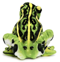 Load image into Gallery viewer, Frisco The Frog | 10 Inch Stuffed Animal Plush | By TigerHart Toys