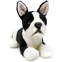Load image into Gallery viewer, Baxter The Boston Terrier | 13 Inch Stuffed Animal Plush | By TigerHart Toys