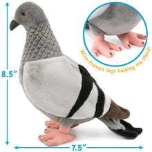 Load image into Gallery viewer, Pepper The Pigeon - 8.5 Inch Stuffed Animal Plush Bird