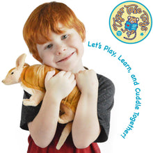 Load image into Gallery viewer, Mike The Armadillo | 11 Inch Stuffed Animal Plush | By TigerHart Toys