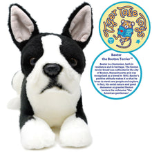 Load image into Gallery viewer, Baxter The Boston Terrier | 13 Inch Stuffed Animal Plush | By TigerHart Toys