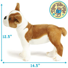 Load image into Gallery viewer, Bobby The Boston Terrier Boxer | 15 Inch Stuffed Animal Plush | By TigerHart Toys