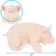 Load image into Gallery viewer, Perla The Pig | 11 Inch Stuffed Animal Plush | By TigerHart Toys