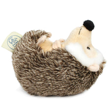 Load image into Gallery viewer, Helena The Hedgehog | 6 Inch Stuffed Animal Plush | By TigerHart Toys
