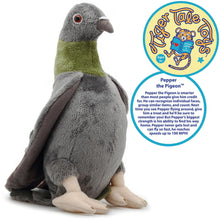 Load image into Gallery viewer, Pepper The Pigeon | 9 Inch Stuffed Animal Plush | By TigerHart Toys
