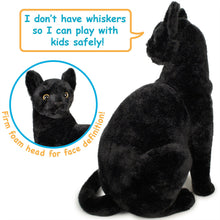 Load image into Gallery viewer, Boone The Black Cat | 13 Inch Stuffed Animal Plush | By TigerHart Toys