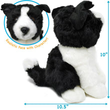 Load image into Gallery viewer, Borna The Border Collie | 11 Inch Stuffed Animal Plush | By TigerHart Toys