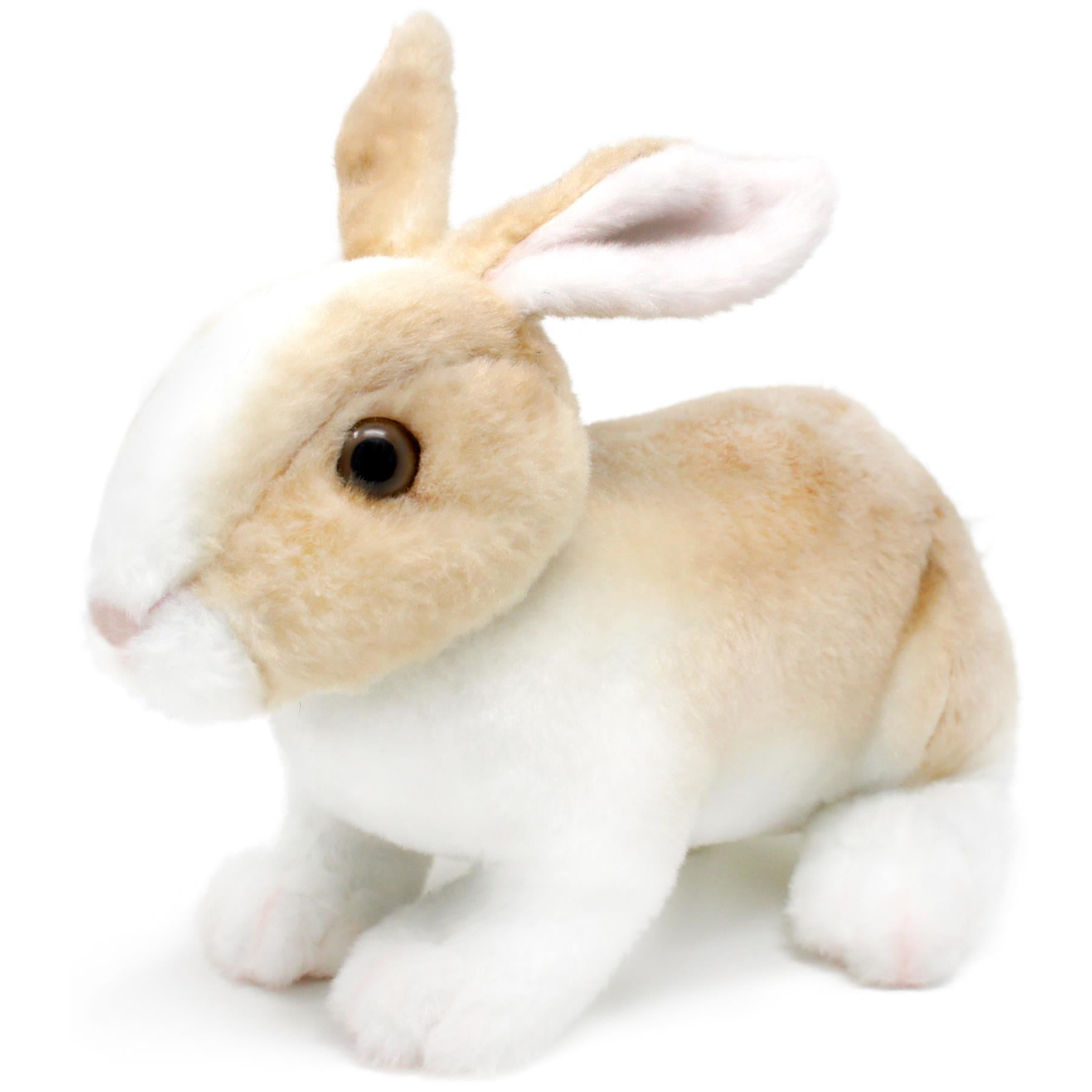 Ridley The Rabbit | 11 Inch Stuffed Animal Plush | By TigerHart