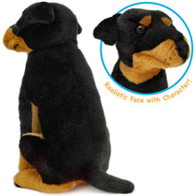 Load image into Gallery viewer, Ronin The Rottweiler | 14 Inch Stuffed Animal Plush | By TigerHart Toys