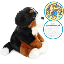 Load image into Gallery viewer, Bastien The Bernese Mountain Dog | 13 Inch Stuffed Animal Plush | By TigerHart Toys