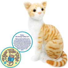 Load image into Gallery viewer, Tobias The Orange Tabby Cat | 13 Inch Stuffed Animal Plush | By TigerHart Toys