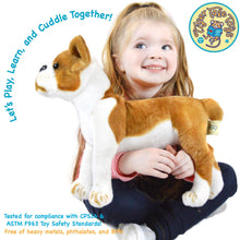 Load image into Gallery viewer, Bobby The Boston Terrier Boxer | 15 Inch Stuffed Animal Plush | By TigerHart Toys