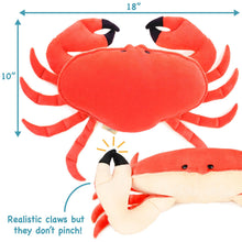 Load image into Gallery viewer, Cora The Crab - 19 Inch Stuffed Animal Plush - by TigerHart Toys