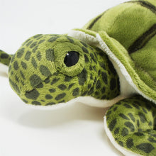 Load image into Gallery viewer, Turquoise The Green Sea Turtle | 10 Inch Stuffed Animal Plush | By TigerHart Toys