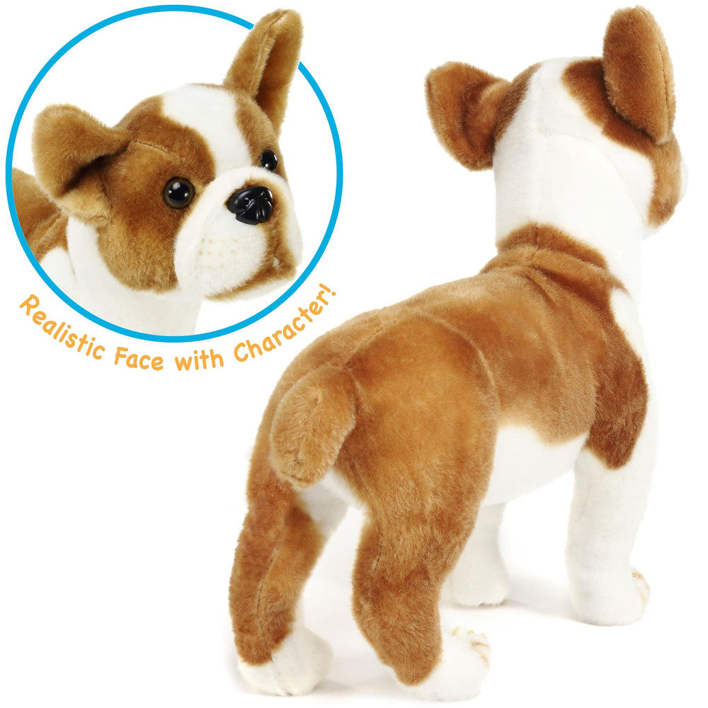 Bobby The Boston Terrier Boxer | 15 Inch Stuffed Animal Plush | By