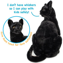 Load image into Gallery viewer, Boone The Black Cat | 13 Inch Stuffed Animal Plush | By TigerHart Toys
