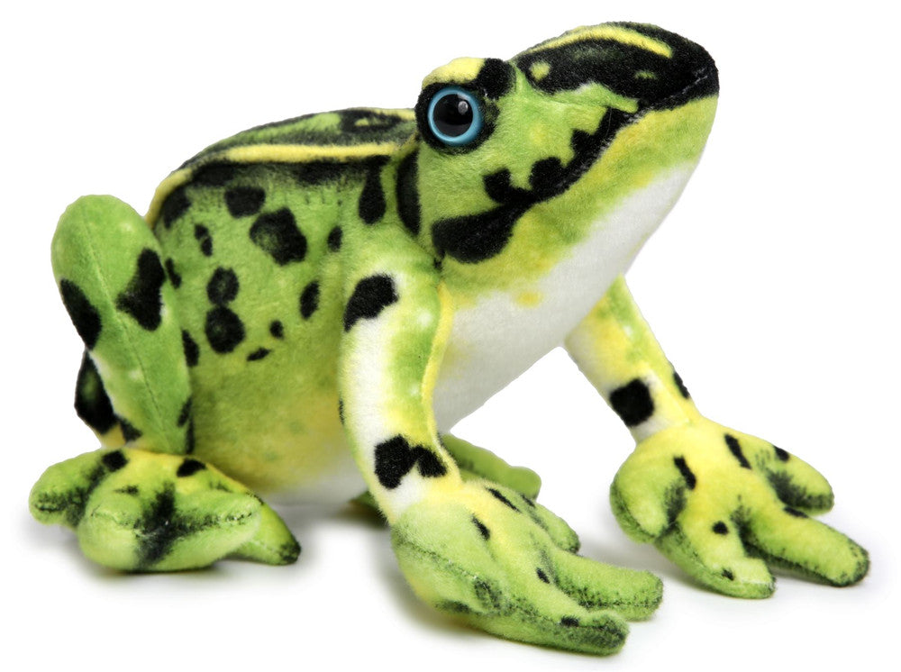 Frisco The Frog | 10 Inch Stuffed Animal Plush | By TigerHart Toys