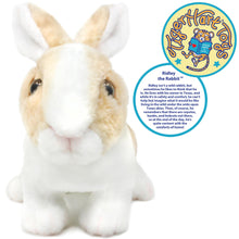 Load image into Gallery viewer, Ridley The Rabbit | 11 Inch Stuffed Animal Plush | By TigerHart Toys
