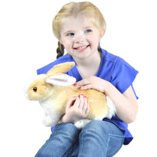 Load image into Gallery viewer, Ridley The Rabbit | 11 Inch Stuffed Animal Plush | By TigerHart Toys
