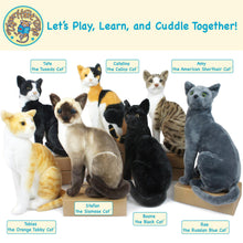 Load image into Gallery viewer, Boone The Black Cat | 13 Inch Stuffed Animal Plush | By TigerHart Toys
