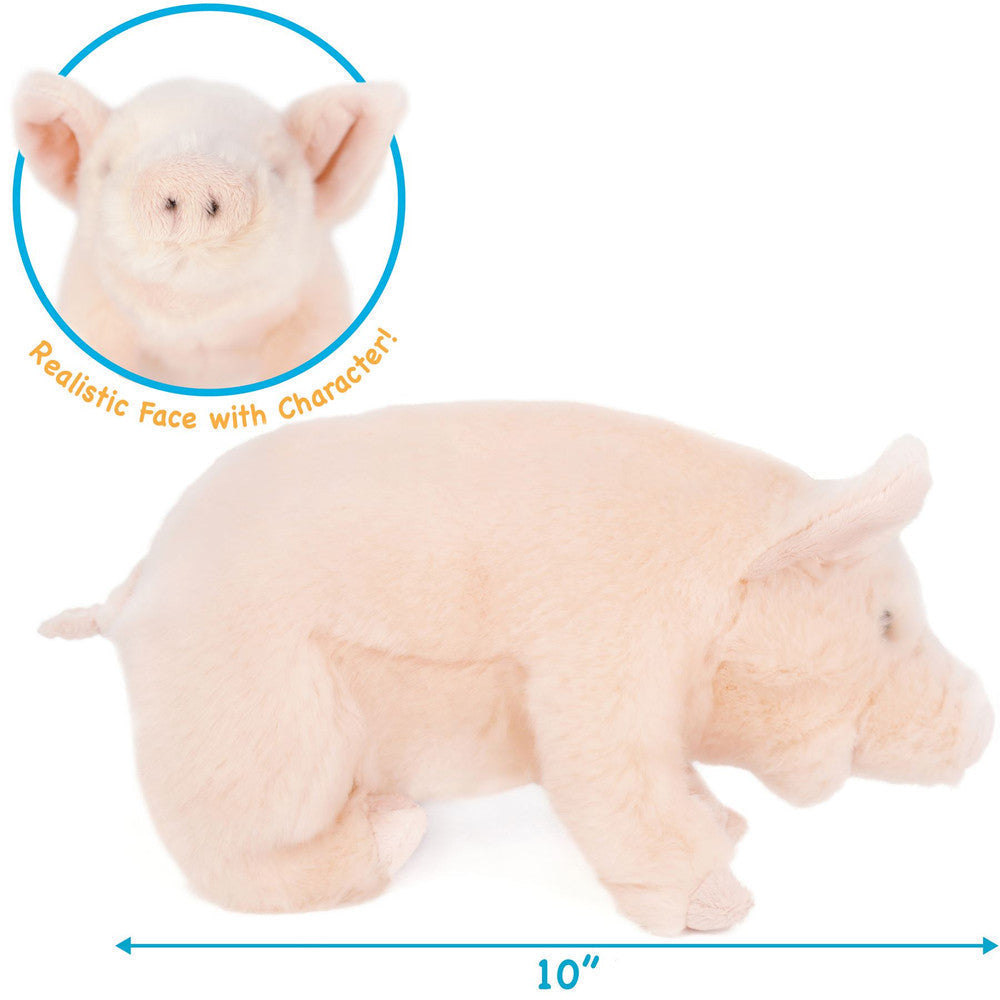 Perla The Pig | 11 Inch Stuffed Animal Plush | By TigerHart Toys