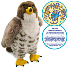 Load image into Gallery viewer, TigerHart Percival The Peregrine Falcon - 9 Inch Stuffed Animal Plush

