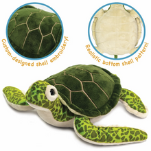 Load image into Gallery viewer, Turquoise The Green Sea Turtle - 15 Inch Stuffed Animal Plush
