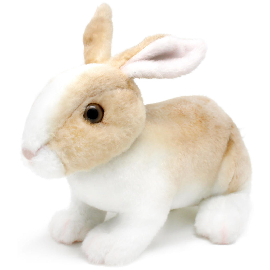 Ridley The Rabbit | 11 Inch Stuffed Animal Plush | By TigerHart Toys